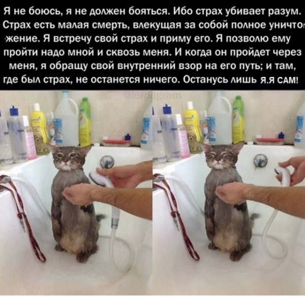 Картинки с надписями и всякие жизненные фразы