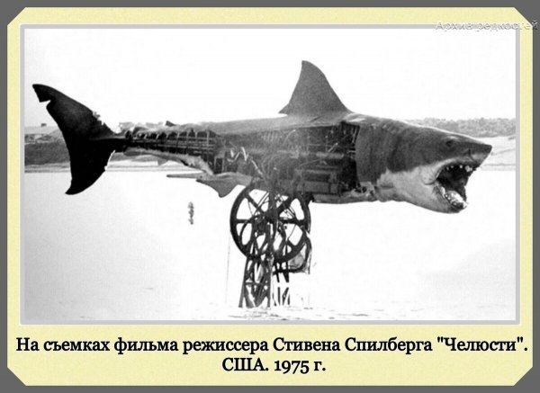 Анекдоты на 10/07/21