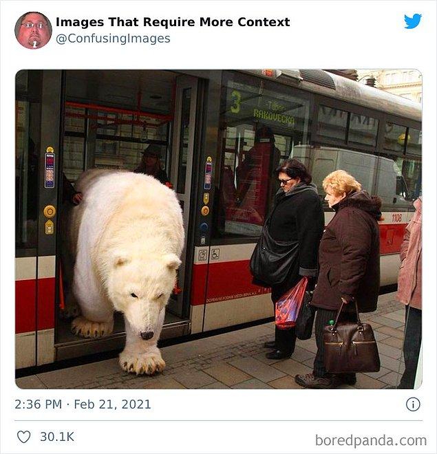 20 самых странных фото без контекста, которые собьют вас с толку