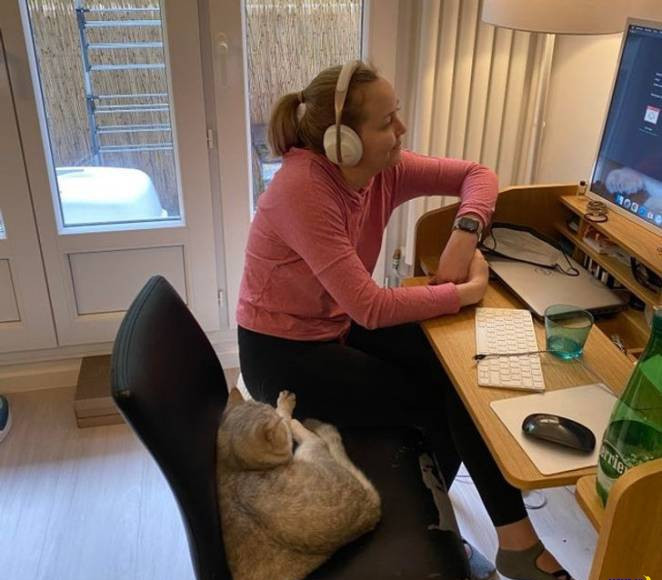 Коты не признают личное пространство