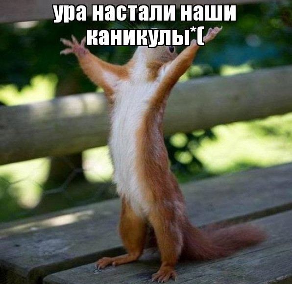 Прикольные фото картинки и рисунки про каникулы