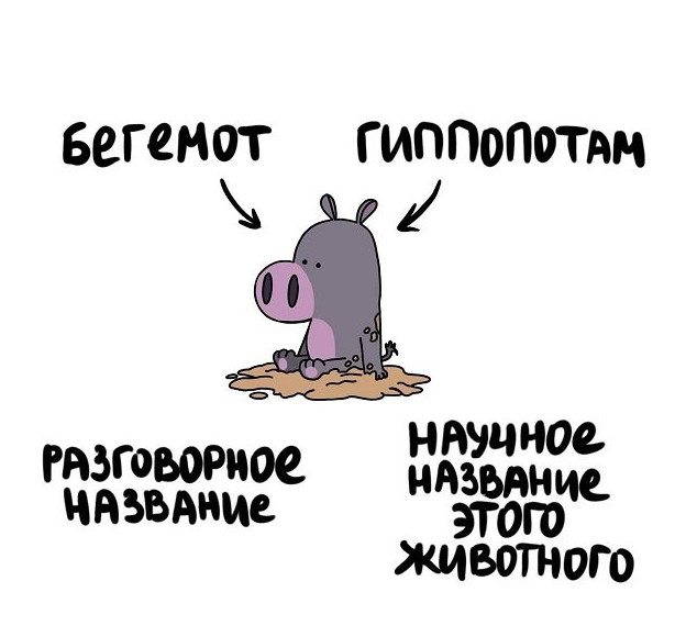 Забавные подсказки о вещах и понятиях, которые люди нередко путают 22.08.2021