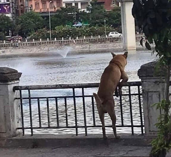 Прикол: 30 причуд нашей с вами реальности