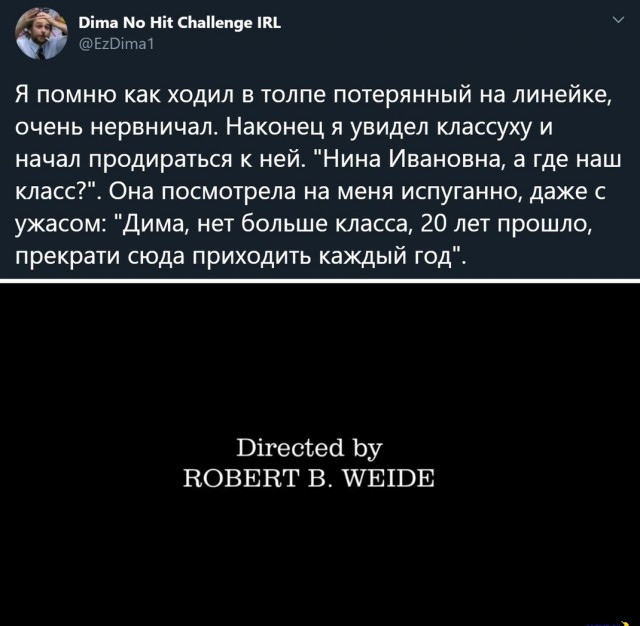 Дурня шальная