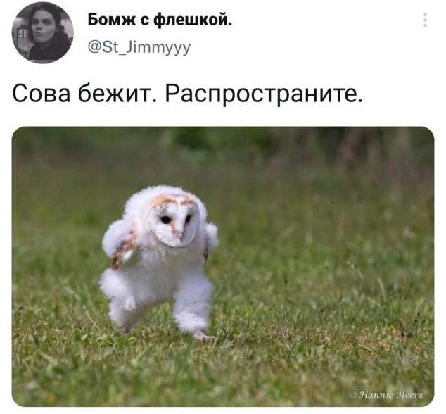 Коллекция забавных твитов обо всем 25.10.2021