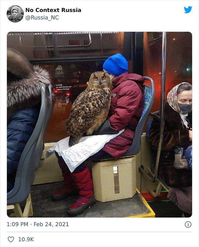 Фото приколы: 20 фото, которые доказывают, что Наша родина не похожа ни на одну другую страну