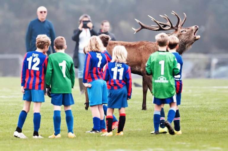 Коллекция интересных и веселых картинок 02.11.2021