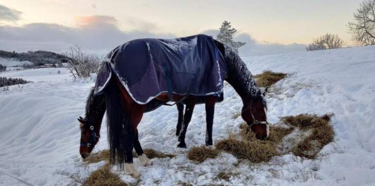 Фото, на которые придется взглянуть дважды 21.01.2022