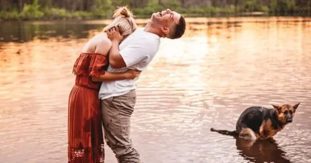 Забавные фотографии, которые стали шлягерами благодаря животным