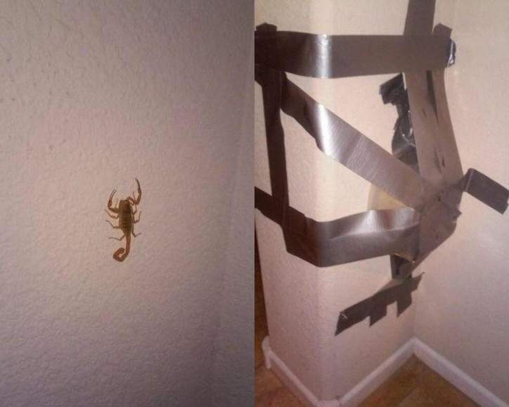 Я вижу проблему, я её решаю!