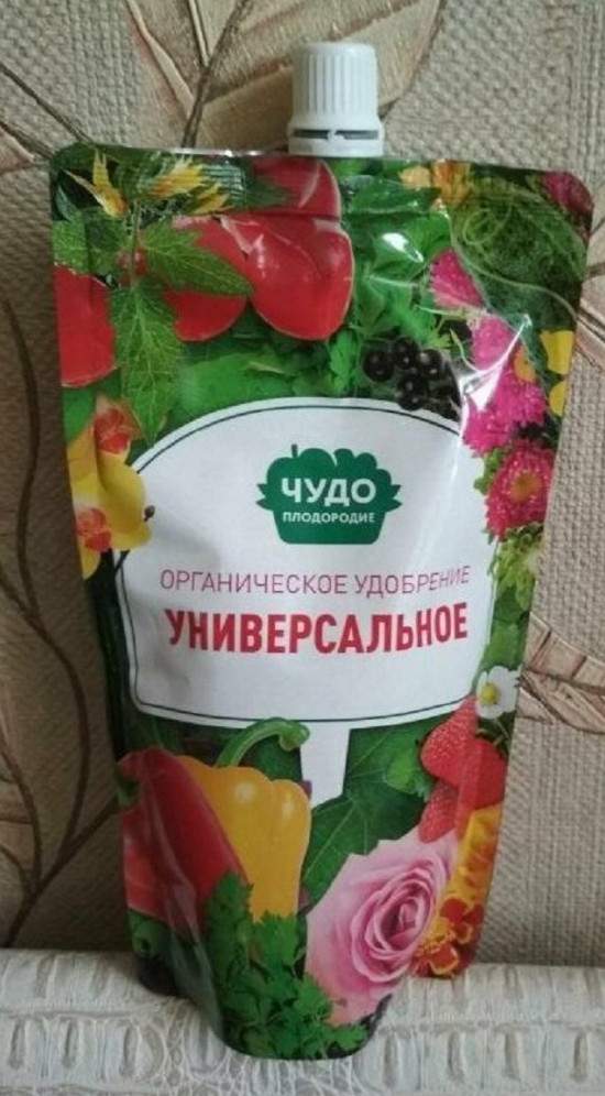 Может, тогда поиграем в игру "съедобное-несъедобное"?