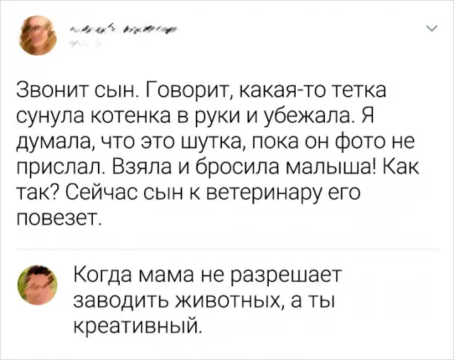 Коллекция забавных комментариев 19.08.2023