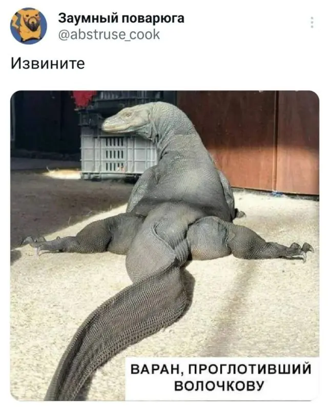 Коллекция забавных твитов обо всем 26.08.2023