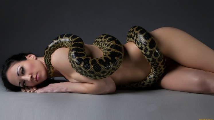 Красивая девушка и питон на фото