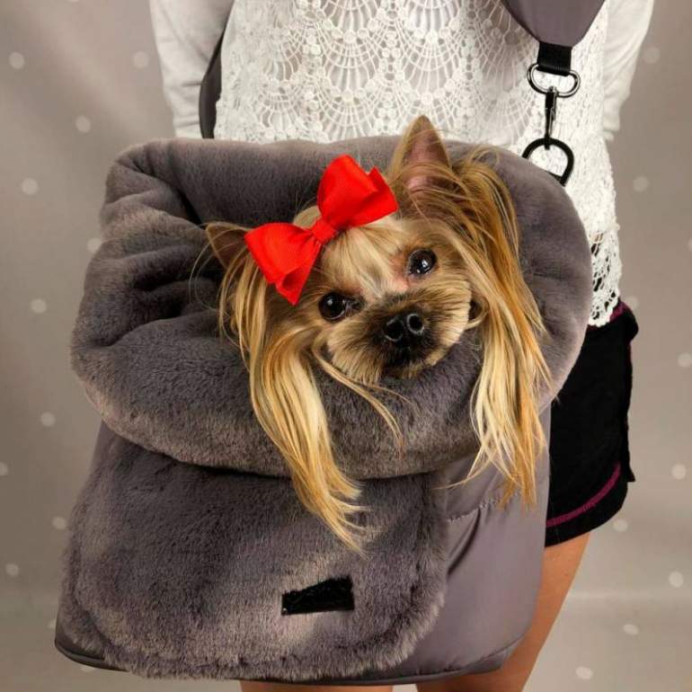 Стиль: Летнее платье для йорка - фото идеи