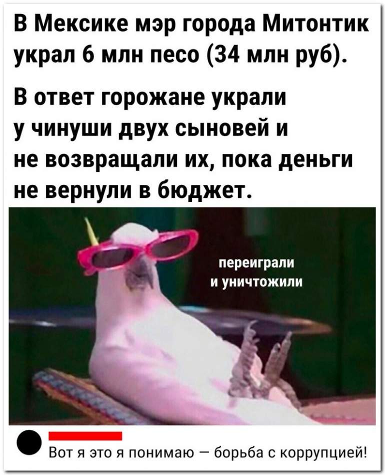 Забавные комментарии из социальных сетей (11.09.23)