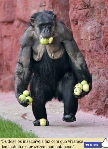 Юмор: Алчность прикол