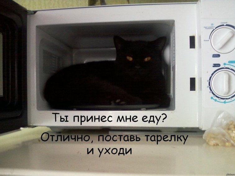 Юмор: Приколы с микроволновкой