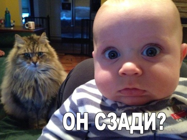 Юмор: Забавно до слёз