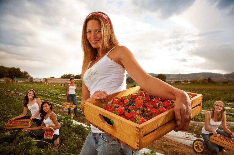 Красивая девушка дачница