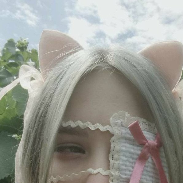 Лицо очаровательные женщины с ушками на фото