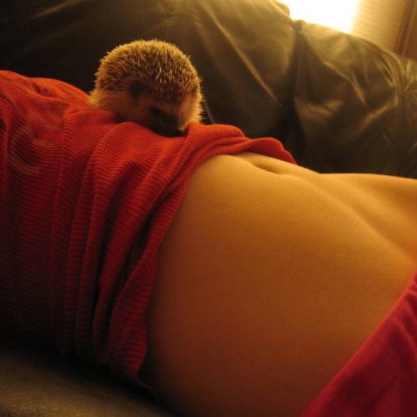 Очаровательные женщины с ежиком