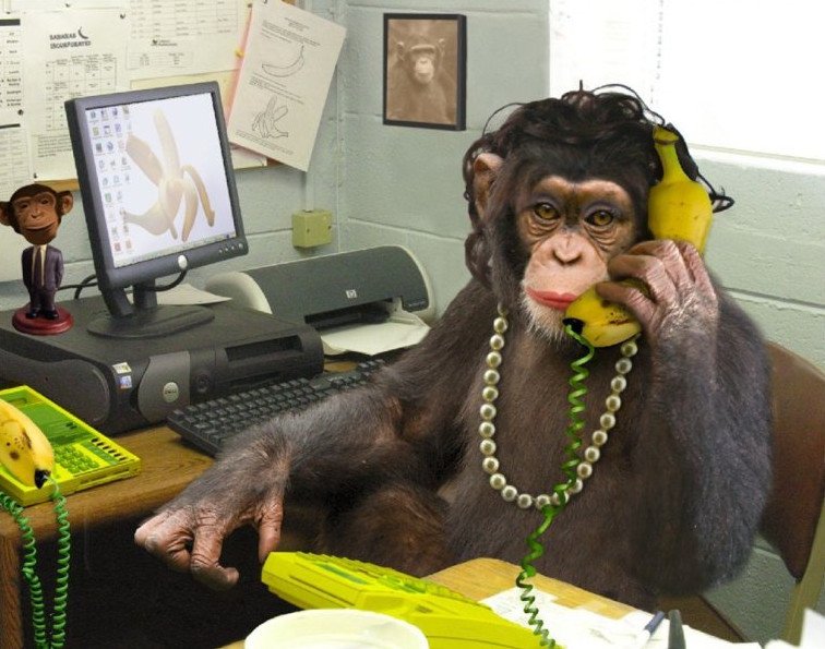 Прикол: Забавная Бухгалтерия