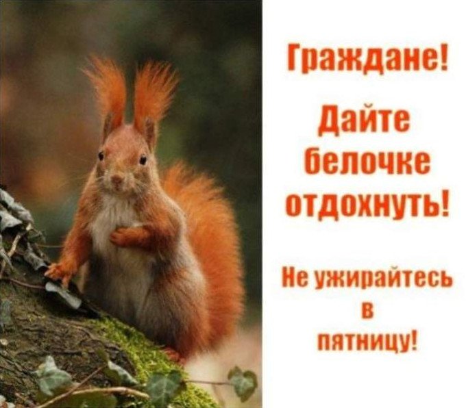 Прикол: Забавное про пятницу