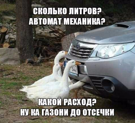 Прикольные фото на авто тему: услаждайтесь просмотром и будьте удачливы на дорогах!