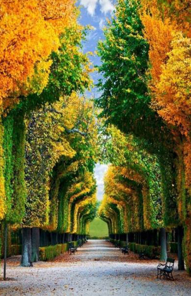 Прикольные - красивые рисунки: источник юмора и позитива для приятного просмотра