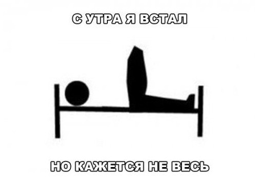 Смешные - классные картинки с подписями: поднимите настроение на целый день!