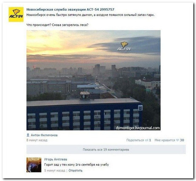 Смешные выражения и комменты из соцсетей и остальных уголков веба