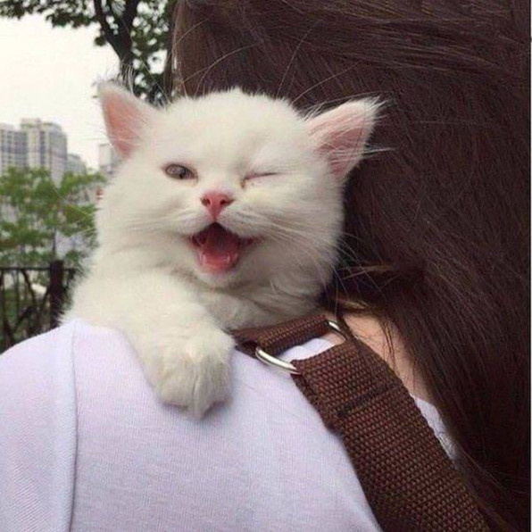 Вдохновляющие снимки, вызывающие лишь положительные эмоции