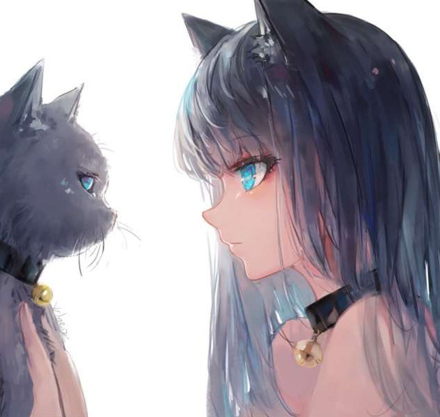 Коты арт - картинки