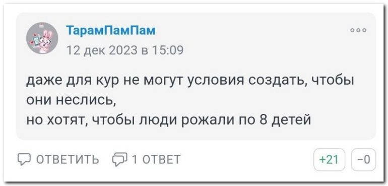Забавные комментарии из социальных сетей (18.12.23)