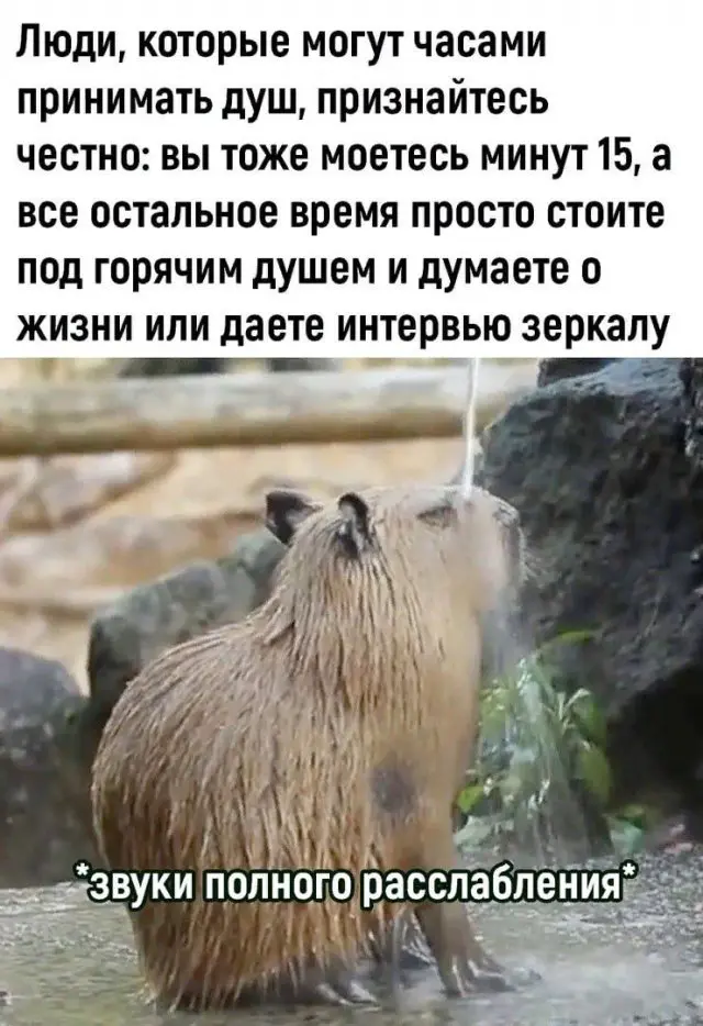 Замечательные шуточки и мемы - 19.12.2023