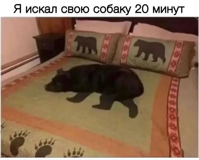 Замечательные шуточки и мемы - 05.01.2024