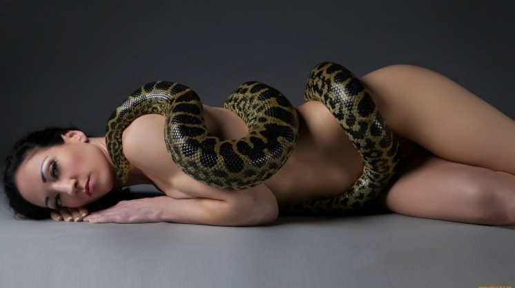 Девушка и питон: удивительная история о дружбе