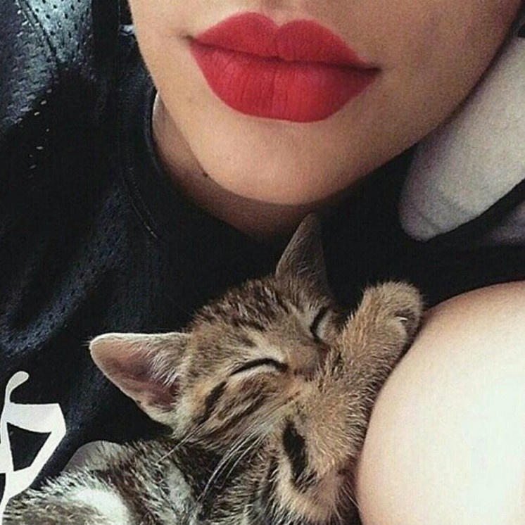 Какие преимущества могут предложить кошачьи губы у девушки?