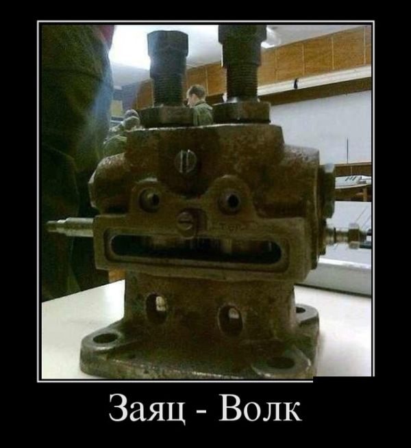 Лучшие демотиваторы!