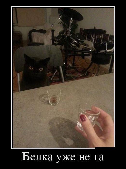 Лучшие демотиваторы!