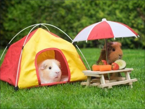 Прикольные картинки дня! Прикольные картинки дня!