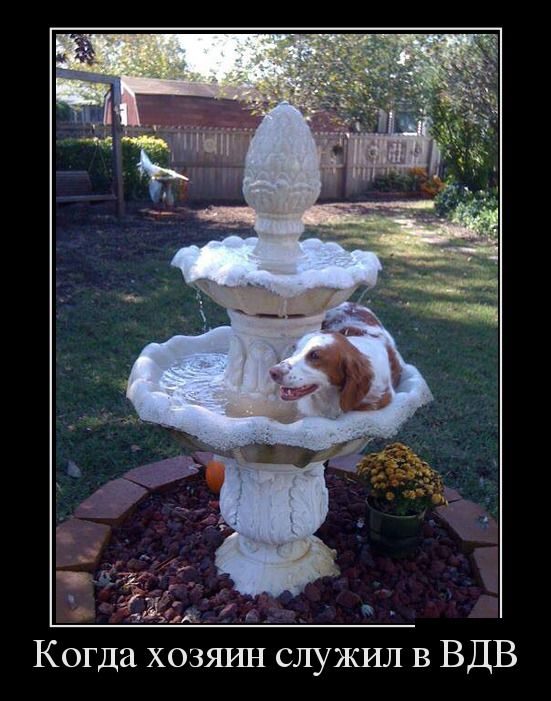 Лучшие демотиваторы!