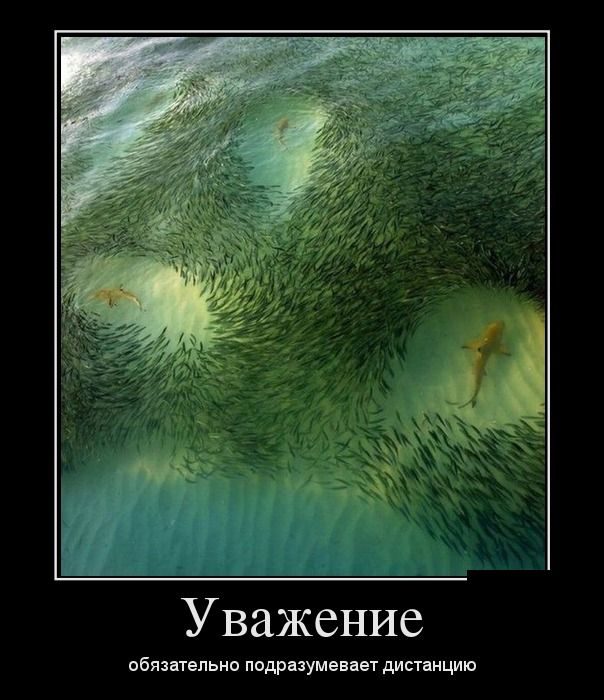 Лучшие демотиваторы!