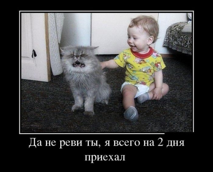 Лучшие демотиваторы!