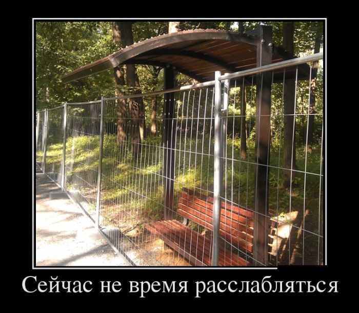 Лучшие демотиваторы!