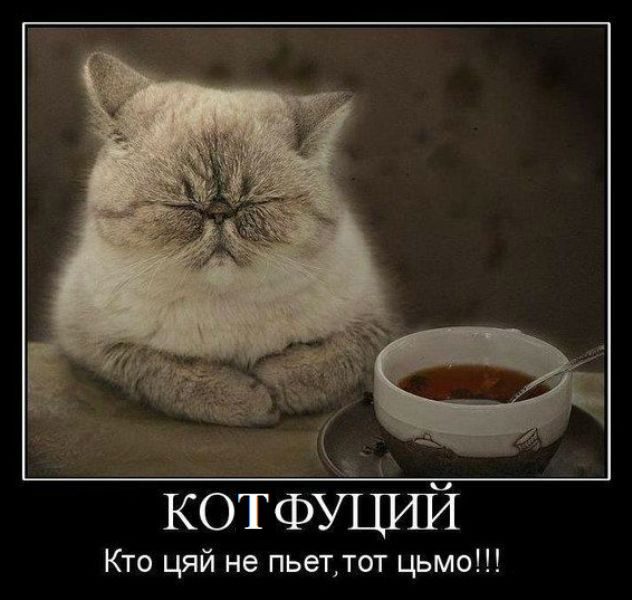 Лучшие демотиваторы!