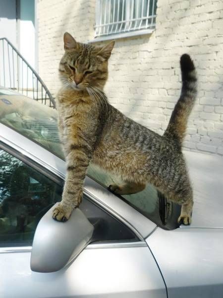 Прикольные картинки дня! Прикольные картинки дня!