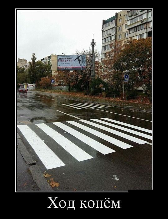 Лучшие демотиваторы!