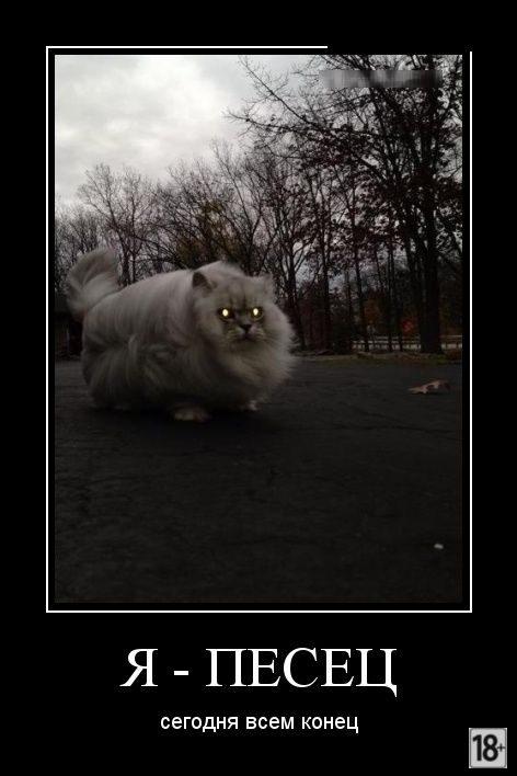 Демотиваторы - приколы!